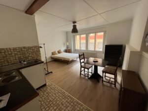 Bright living room with large window in Neuchâtel studio apartment