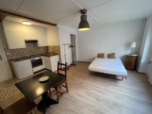 Bright living room with large window in Neuchâtel studio apartment