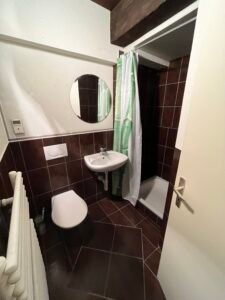 Living room with fireplace and wooden beams Hauterive apartment